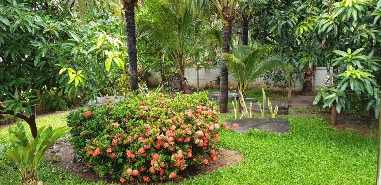 Nuch'S Apple Guest House Si Bun Ruang ภายนอก รูปภาพ