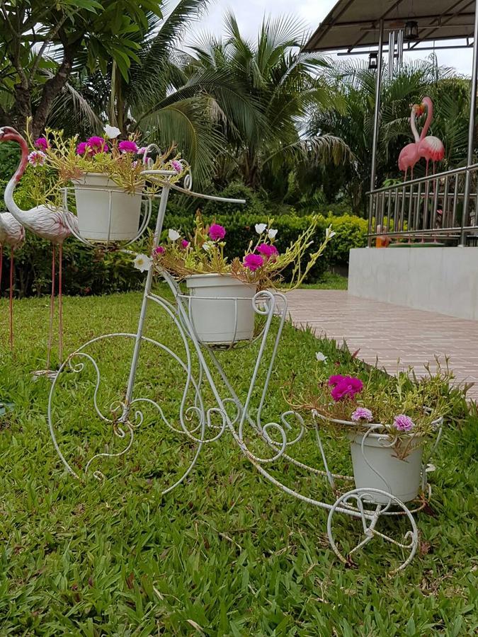 Nuch'S Apple Guest House Si Bun Ruang ภายนอก รูปภาพ