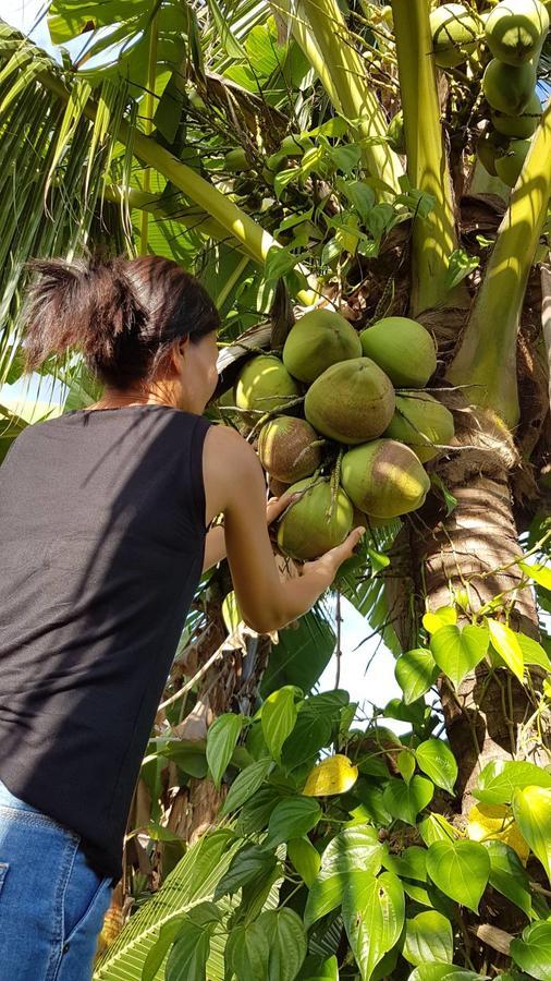 Nuch'S Apple Guest House Si Bun Ruang ภายนอก รูปภาพ